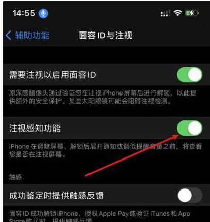 涧西苹果14维修网点分享iPhone14注视感知功能有什么用 